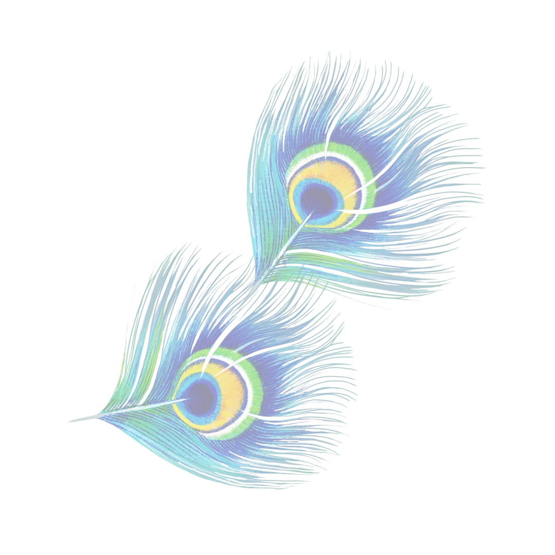 Feather Image